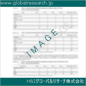 グローバルリサーチ調査資料のイメージ